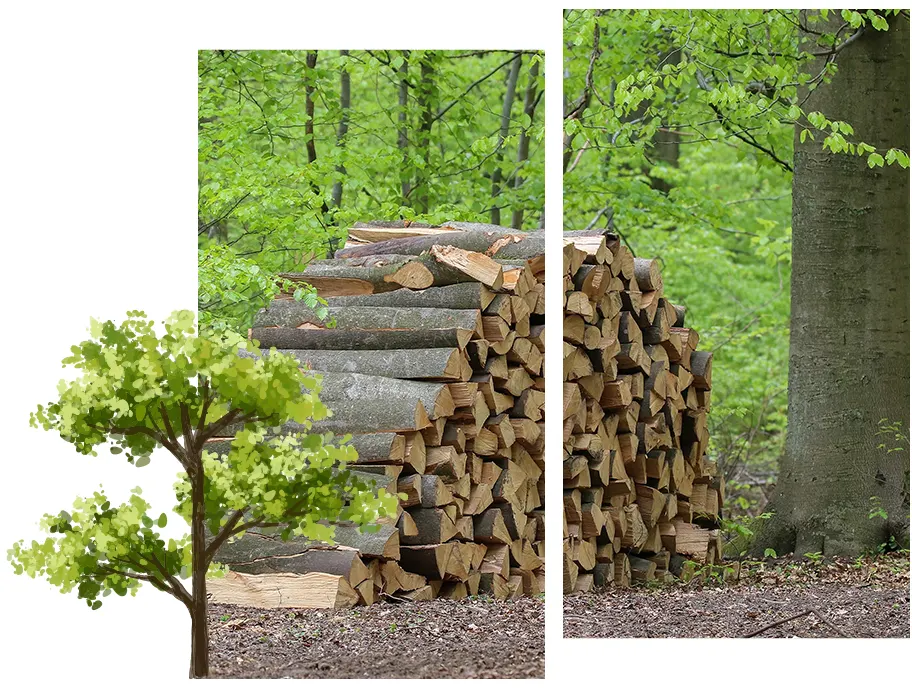 Vente de bois de chauffage aux alentours de Poitiers, Vivonne et Gençay