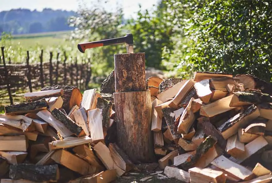 Vente et livraison de bois de chauffage à Vivonne, Poitiers et Gençay